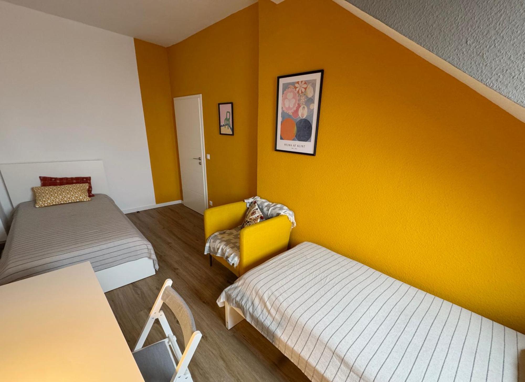 Big Flat With Fresh Renovation, Free Parking, Sonyps, Netflix * Duisbourg
