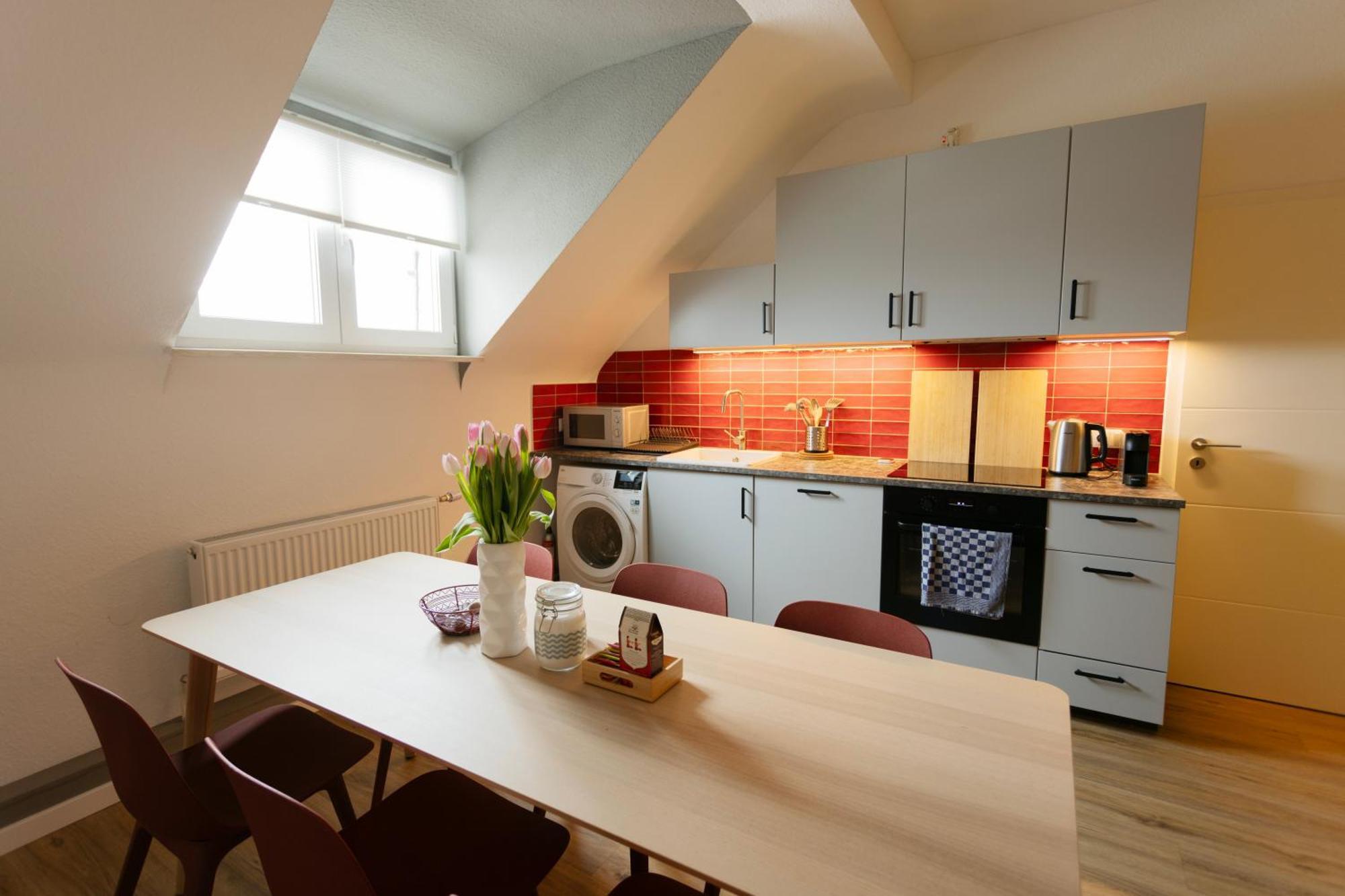 Big Flat With Fresh Renovation, Free Parking, Sonyps, Netflix Appartement